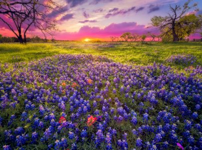 8 Best RV Parks in Fredericksburg, Texas