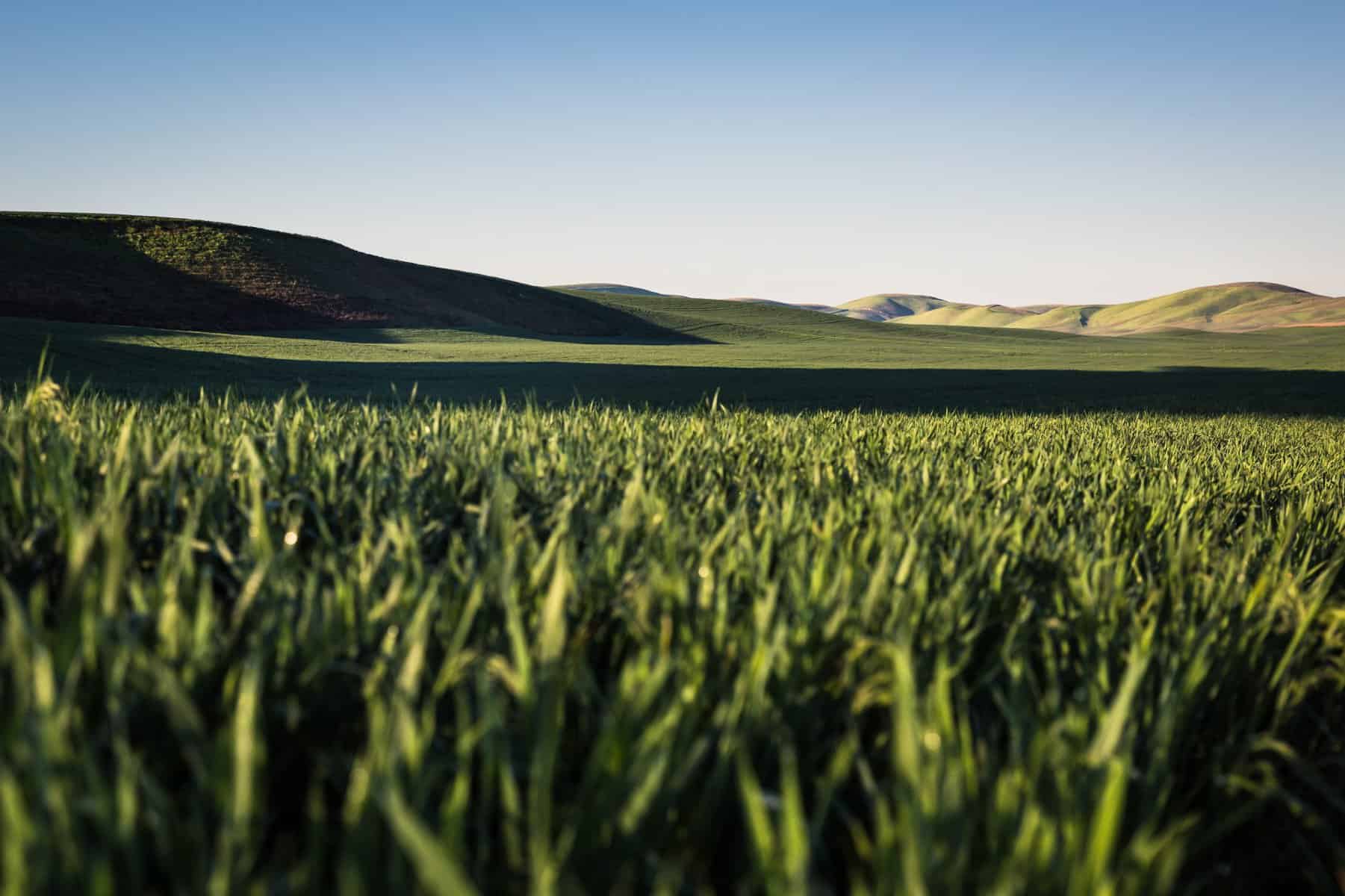 8 Best RV Camping Spots in Walla Walla