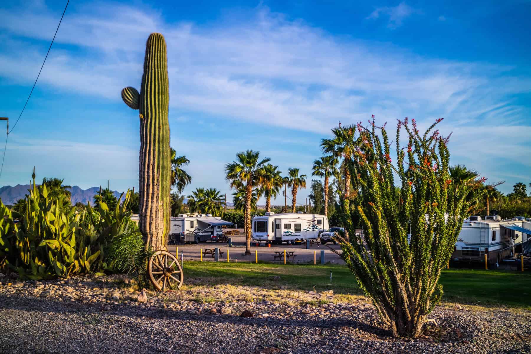 7 Best 55-Plus RV Parks in Phoenix, Arizona
